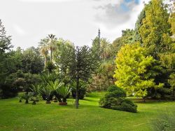 Napoli - Orto Botanico