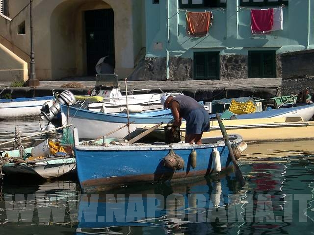 Clicca per l'immagine successiva