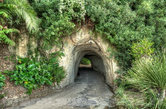  Il tunnel nel parco