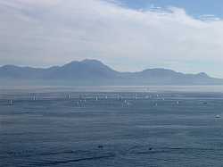 Regata nel Golfo di Napoli 