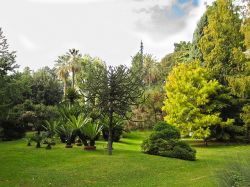 Napoli - Orto Botanico 