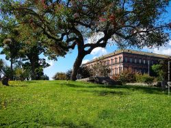 Napoli - Giardini di Palazzo Reale